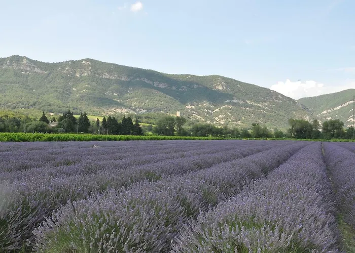 Hébergement de vacances Du Château D'alençon