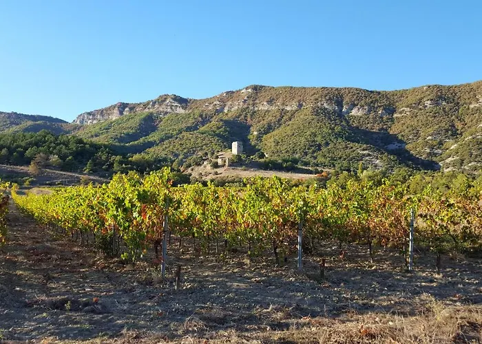 Hébergement de vacances Du Château D'alençon