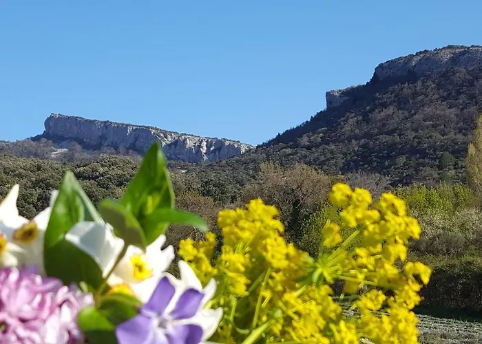 Du Château D'alençon Hébergement de vacances
