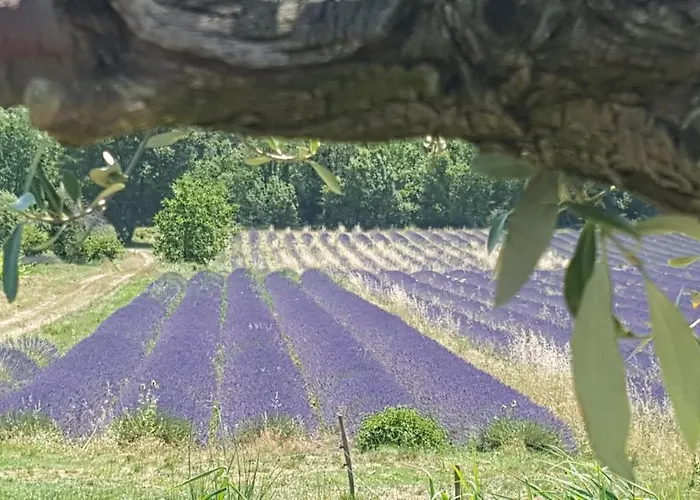 Hébergement de vacances Du Château D'alençon