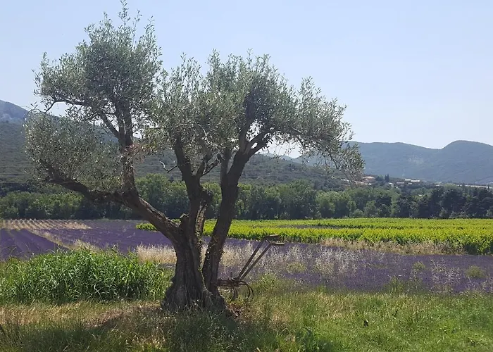 Du Château D'alençon Le Pegue