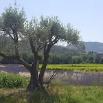 Du Chateau D'alencon Le Pegue