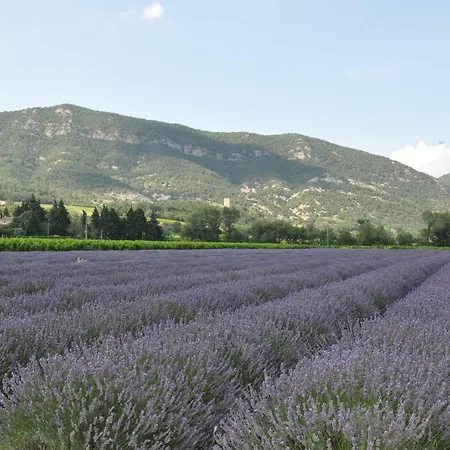 Casa vacanze Du Chateau D'alencon