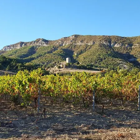 度假居 Du Chateau D'alencon