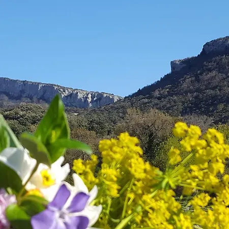 Du Chateau D'alencon Casa vacanze