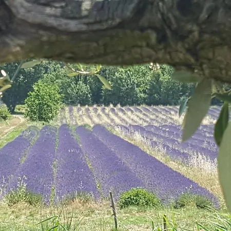 度假居 Du Chateau D'alencon