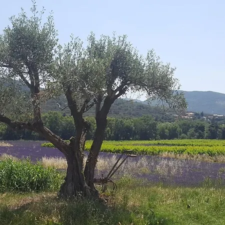 Du Chateau D'alencon Le Pegue